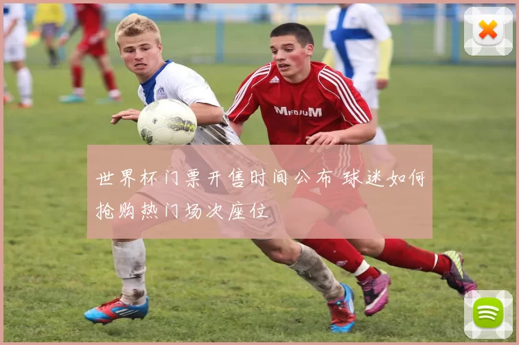 世界杯门票开售时间公布 球迷如何抢购热门场次座位
