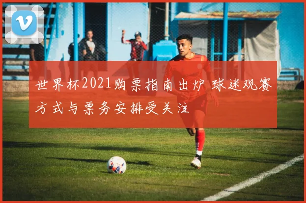世界杯2021购票指南出炉 球迷观赛方式与票务安排受关注